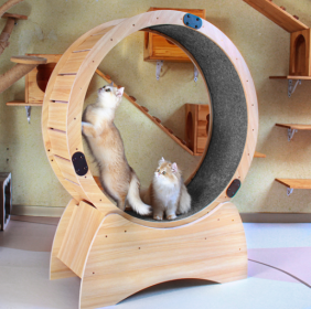 Cat Gym Wheels - Fun For Running, Spinning And Scratching, Cat Treadmill With Carpeted Track, Cat Sports Toys, Great For Physical Activity And Reducin