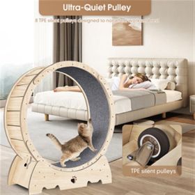 Indoor Cat Sports Wheel